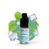 VDLV - Eisminze 10ml - e-Liquids e-zigarette e-Dampf