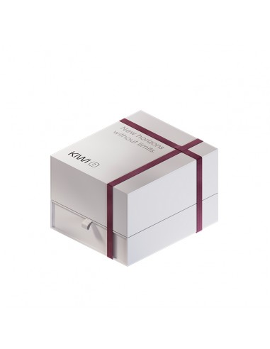 Kiwi Vapor, V2, AIO, Box, Vape, e-liquide, débutant, cadeau, quit smoking, Kit, e-cig