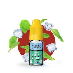 VDLV "Cirkus Authentic" -...