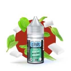 Vdlv Cirkus Authentics - Concentré DIY Menthe Chlorophylle 30ml