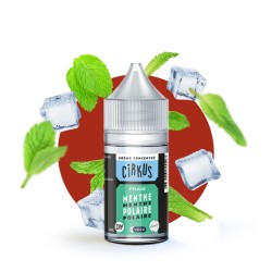 Vdlv Cirkus Authentics - Concentré DIY Menthe Polaire 30ml