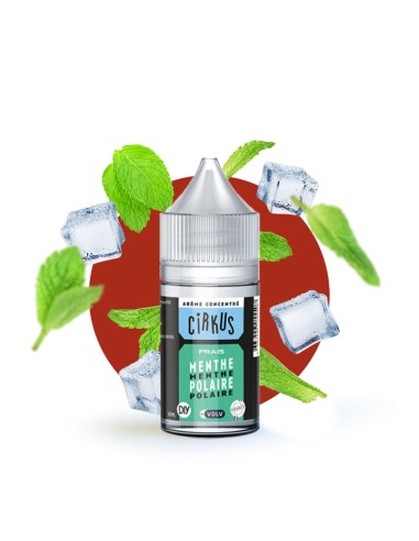 Vdlv Cirkus Authentics - Concentré DIY Menthe Polaire 30ml