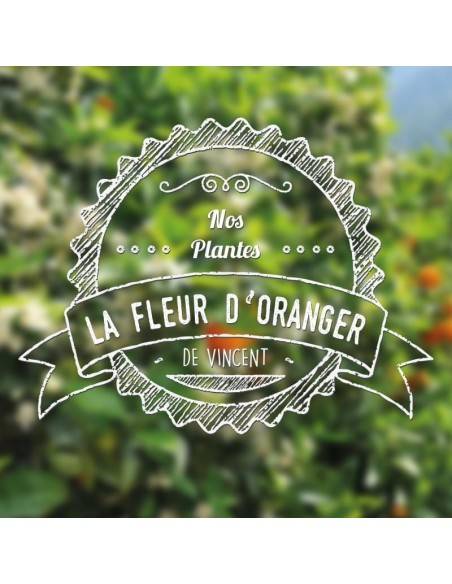 VDLV - e-liquide Fleur d’Oranger 10ml