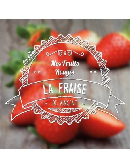VDLV - e-liquide Fraise 10ml
