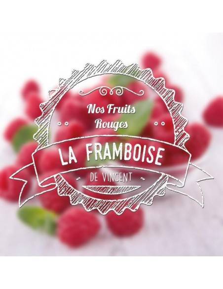 VDLV - e-liquide Framboise 10ml