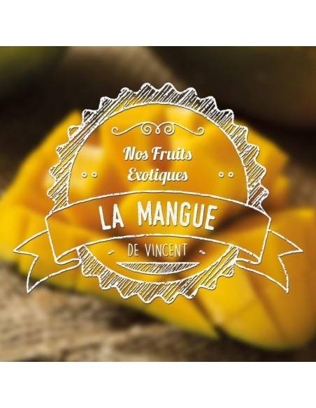 VDLV - Mangue 10ml