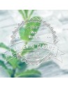 VDLV - Menthe glaciale 