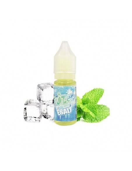 Esalt - Icee Mint 10ml - Sweetch Suisse Esalt - Icee Mint 10ml - Sweetch Suisse