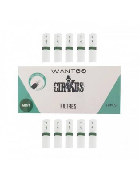 VDLV - Manthol Filters Wantoo x10