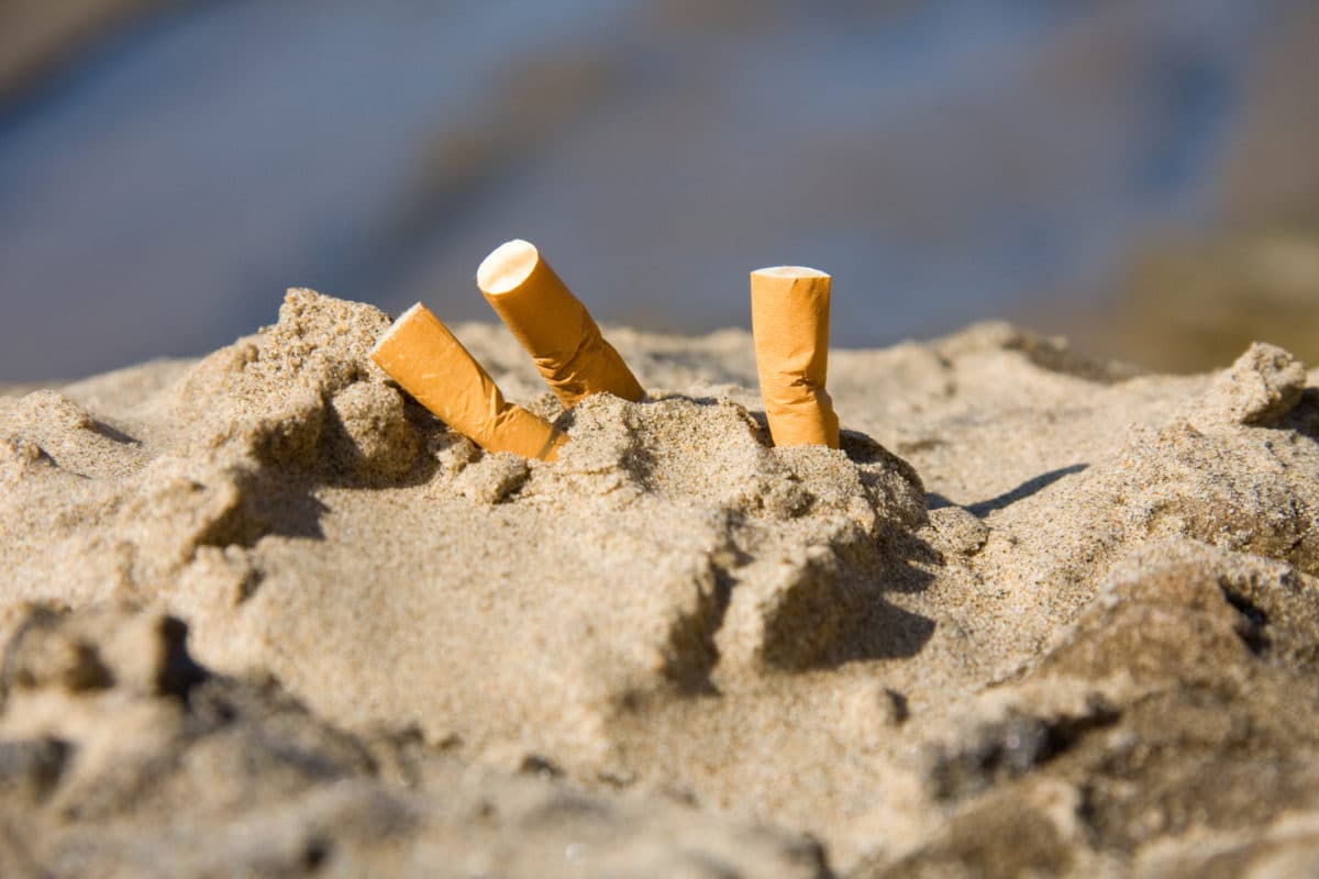 cigarette butts
