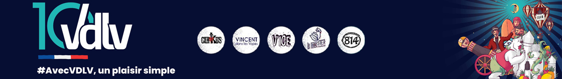 Vape Holiday Travel Safe