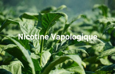 Nicotine Vapologique