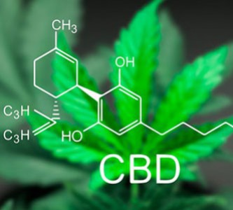 Questions and answers relating to CBD